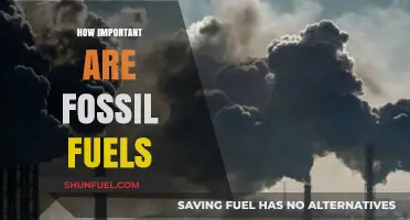 Fossil Fuels: Essential Energy Source or Environmental Liability?