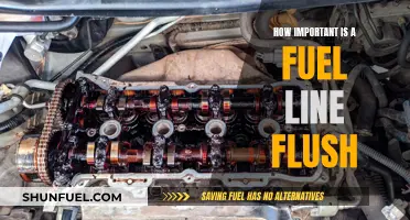 Fuel Line Flush: Essential Maintenance or Unnecessary Expense?