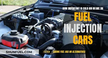 Cold Air Intake: Fuel Injection Car Performance Boost?