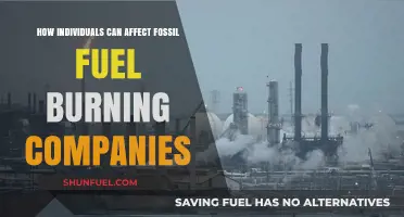 Empowering Change: How Individuals Can Impact Fossil Fuel Giants
