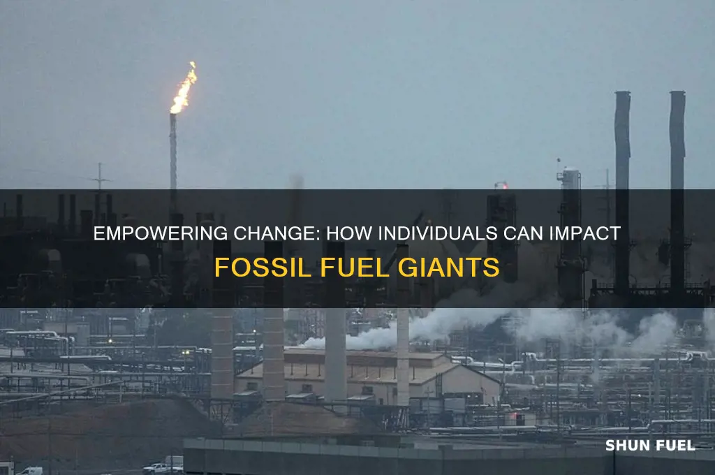 how individuals can affect fossil fuel burning companies
