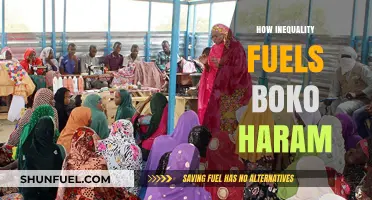 Inequality's Grip: How Socioeconomic Disparities Fuel Boko Haram's Rise