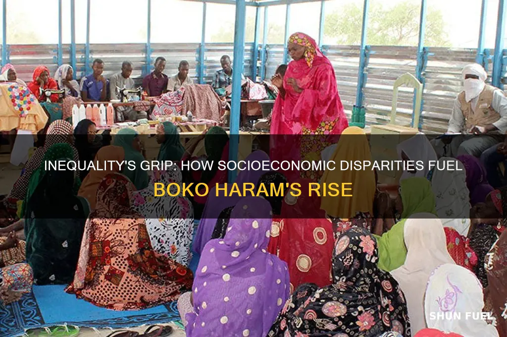how inequality fuels boko haram