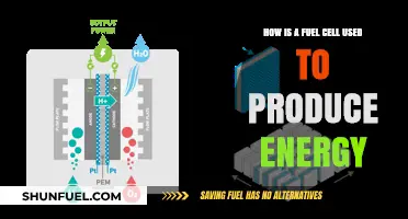 How Fuel Cells Generate Clean Energy Through Electrochemical Reactions