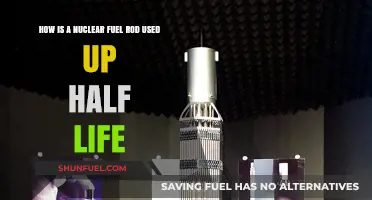 Understanding Nuclear Fuel Rod Depletion and Half-Life Decay Process