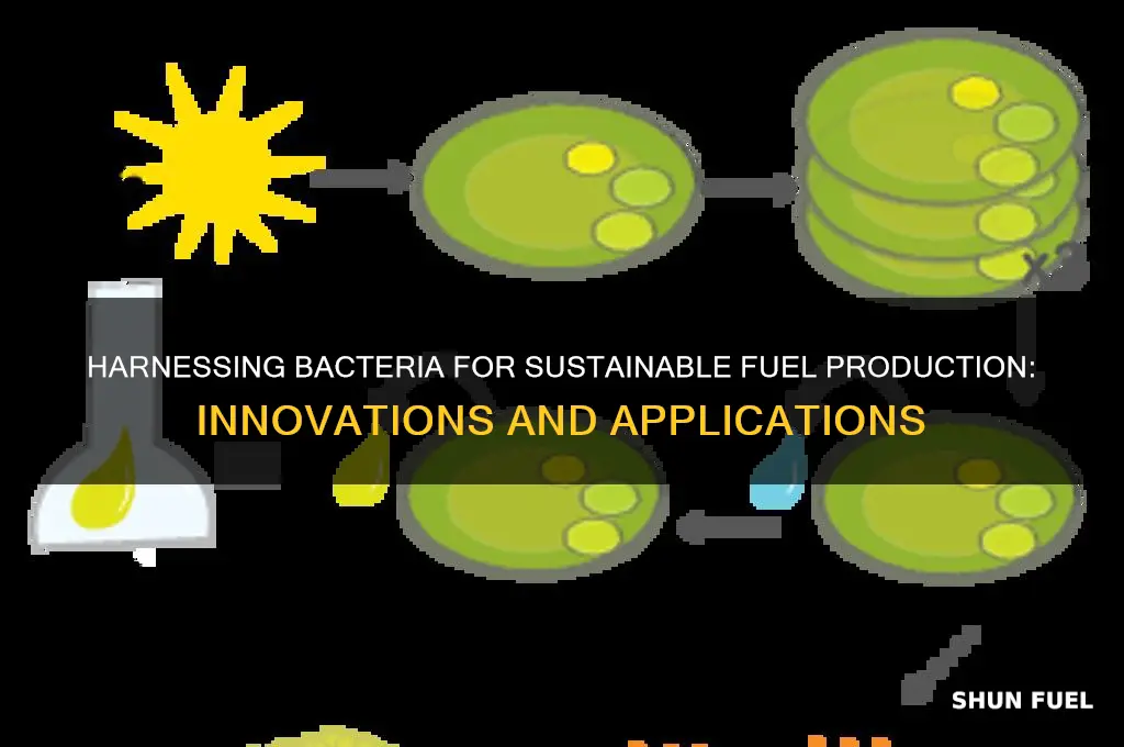 how is bacteria used in fuel