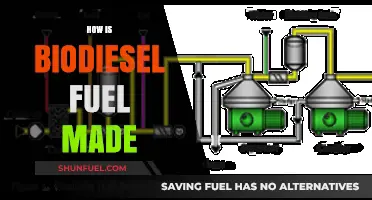 From Oils to Engines: The Biodiesel Fuel Production Process Explained