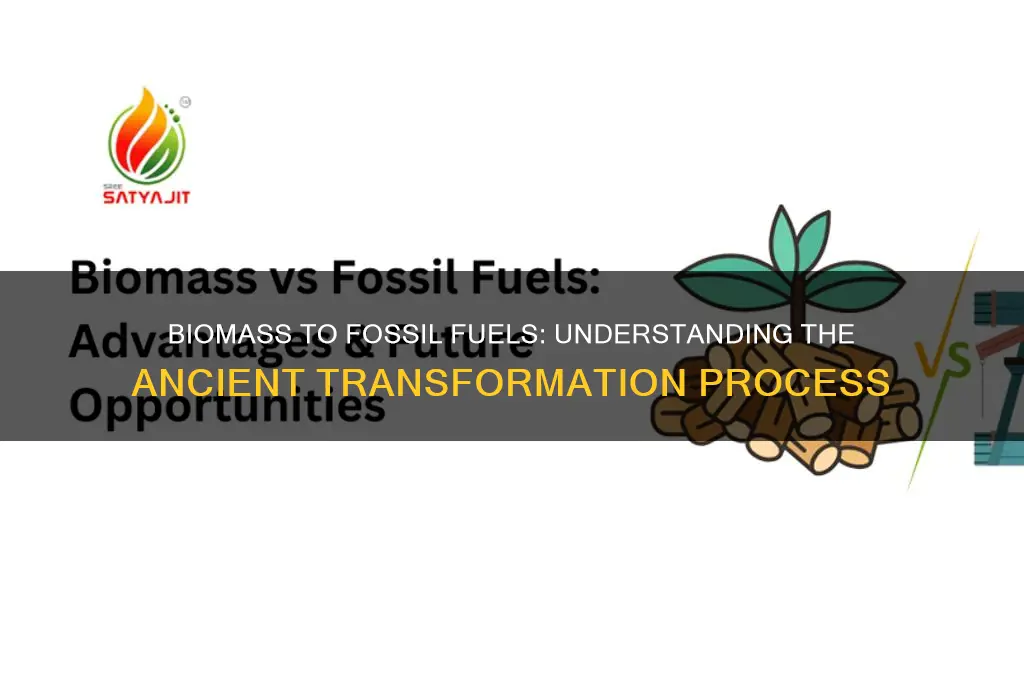 how is biomass converted into fossil fuels