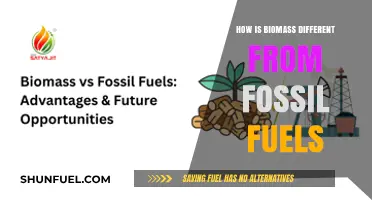 Biomass vs. Fossil Fuels: Key Differences in Energy Sources