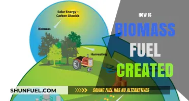 Creating Biomass Fuel: Sustainable Energy Production Process Explained