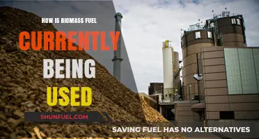 Biomass Fuel Applications: Current Uses and Sustainable Energy Solutions