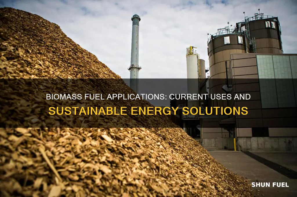 how is biomass fuel currently being used