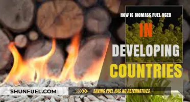 Biomass Fuel: Powering Developing Nations with Sustainable Energy Solutions