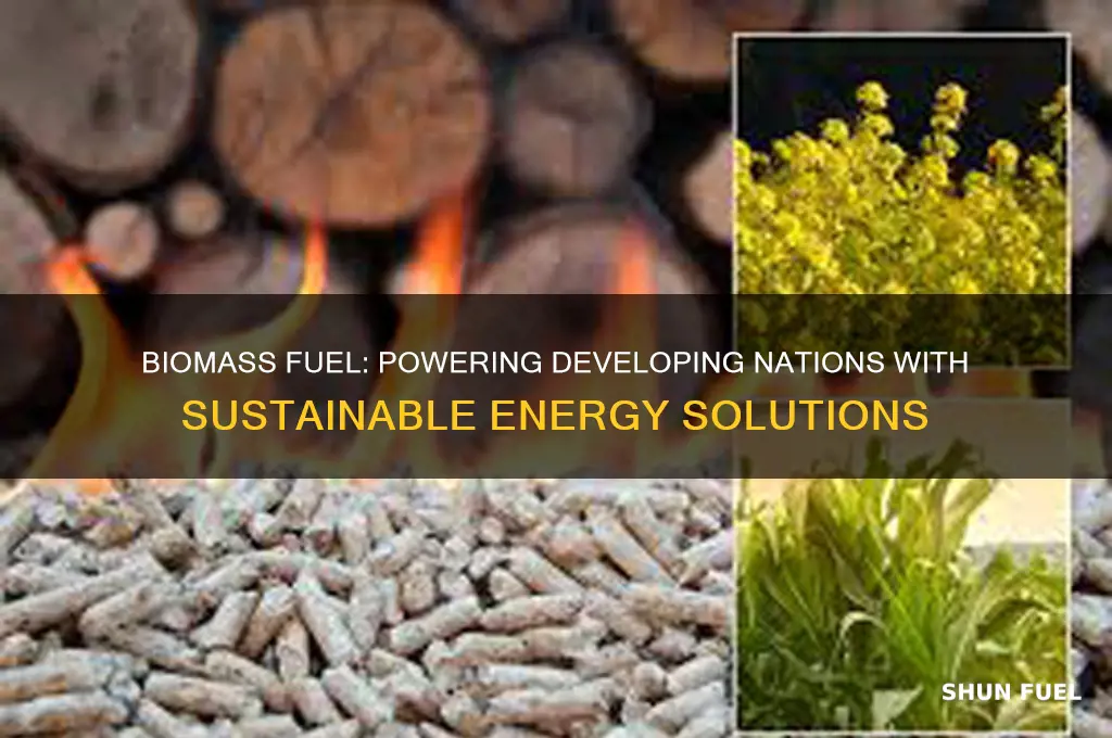 how is biomass fuel used in developing countries