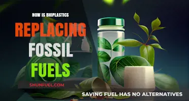 The Rise of Bioplastics: A Sustainable Alternative to Fossil Fuels