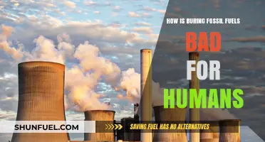 Burning Fossil Fuels: Harmful Impacts on Human Health and Environment