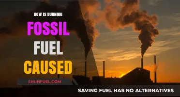 Burning Fossil Fuels: Uncovering the Causes and Environmental Impact