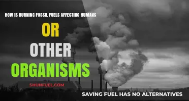 Fossil Fuel Emissions: Devastating Human Health and Ecosystems Worldwide