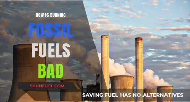 Burning Fossil Fuels: Devastating Impacts on Climate, Health, and Ecosystems