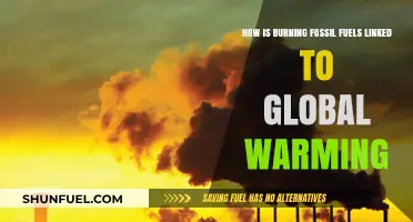 Fossil Fuels, Carbon Emissions, and the Global Warming Crisis