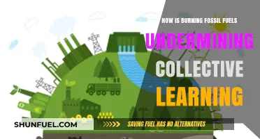 Fossil Fuel Emissions: Hindering Collective Learning and Global Progress