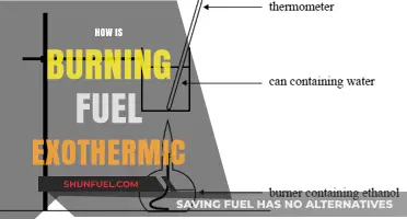Burning Fuel: Unlocking Exothermic Energy Through Combustion Reactions