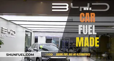 The Evolution of Car Fuel: From Source to Pump