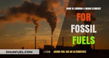 Carbon's Crucial Role: The Foundation of Fossil Fuels Explained