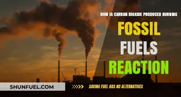 Burning Fossil Fuels: The Chemical Reaction Behind CO2 Emissions