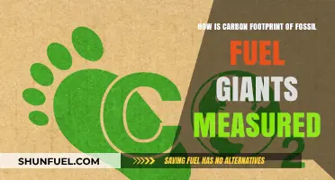Measuring Fossil Fuel Giants' Carbon Footprint: Methods and Challenges
