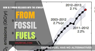Fossil Fuels and Carbon Emissions: Uncovering Atmospheric Release Mechanisms