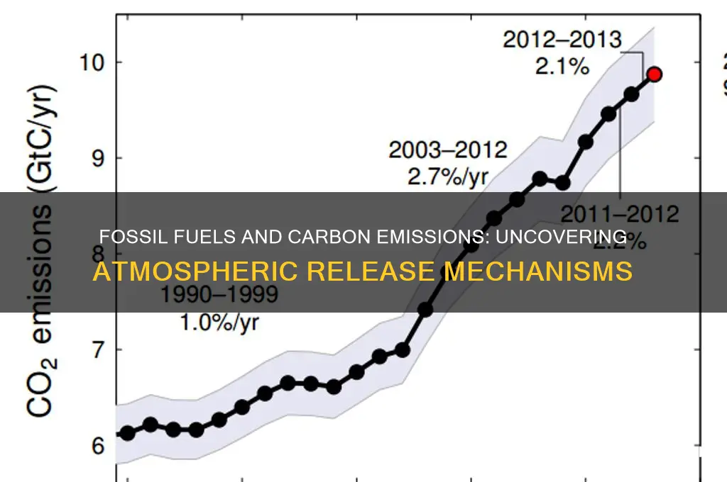 how is carbon released into the atmosphere from fossil fuels
