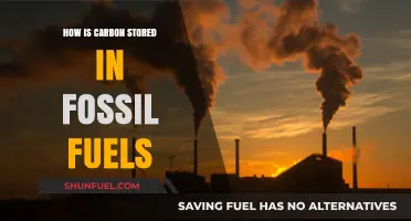 How Fossil Fuels Capture and Store Carbon: A Comprehensive Guide