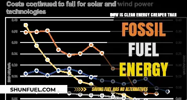 Clean Energy's Cost Advantage: Why It Outshines Fossil Fuels