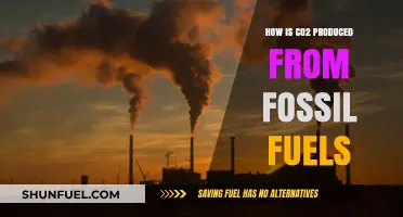 Fossil Fuels and CO2: Understanding the Combustion Process