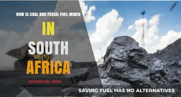 South Africa's Coal and Fossil Fuel Mining: Processes and Impact