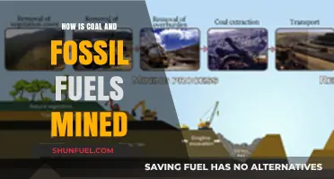 Extracting Energy: The Mining Process of Coal and Fossil Fuels