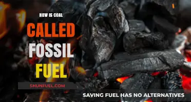 Why Coal is Classified as a Fossil Fuel: A Comprehensive Explanation