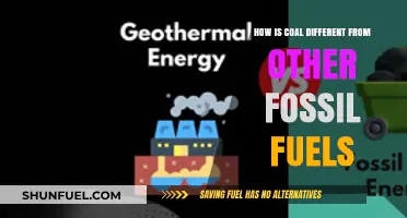 Coal vs. Other Fossil Fuels: Key Differences and Unique Characteristics