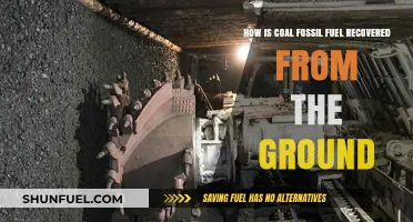 Extracting Coal: Methods for Recovering Fossil Fuel from the Earth