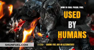 Coal's Role: How Humans Utilize This Fossil Fuel Daily
