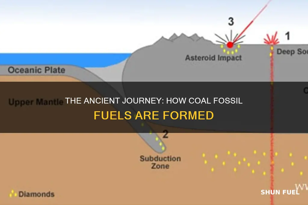 how is coal fossil fuels formed