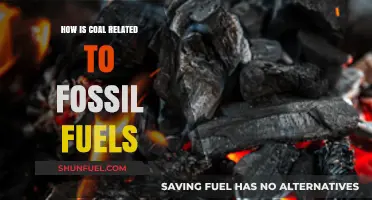 Coal's Role: Understanding Its Connection to Fossil Fuels and Energy