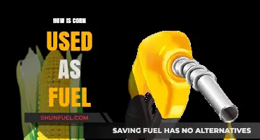 Corn's Surprising Role: Transforming Agriculture into Sustainable Biofuel Energy