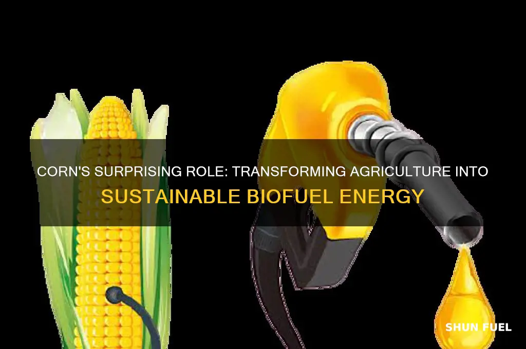 how is corn used as fuel