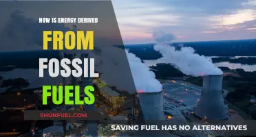 Unveiling Fossil Fuels: How We Extract Energy from Ancient Sources