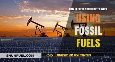 Fossil Fuels: Understanding Energy Distribution and Environmental Impacts