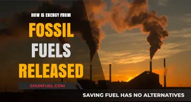 Unlocking Fossil Fuel Energy: Combustion Processes Explained Simply