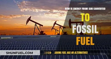 Sun's Power to Fossil Fuel: Unraveling Nature's Ancient Energy Transformation