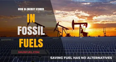 Unlocking Fossil Fuels: How Energy is Stored in Ancient Resources